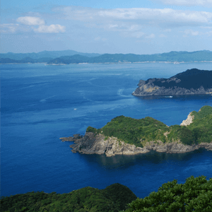 海洋散骨のご案内